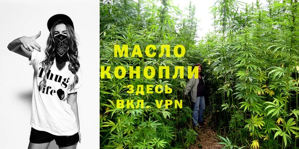 тгк Володарск