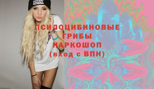 стаф Волоколамск