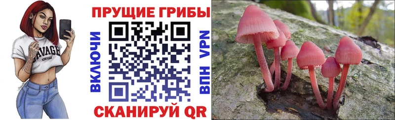 Галлюциногенные грибы прущие грибы  Павловский Посад 